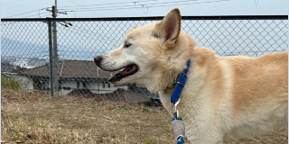 元気だった？(≧▽≦)