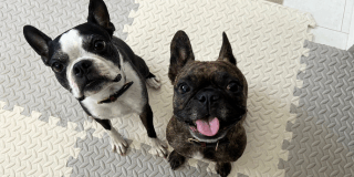 お久しぶりです