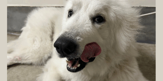 実はね・・・？