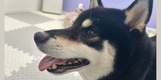 楽しく過ごしました