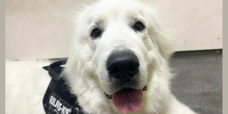 お散歩お散歩～♪