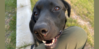 成長しています♪