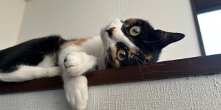 皆、頑張りました！