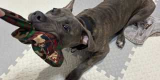 まだまだ遊びたい