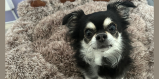 ドキドキお泊まり