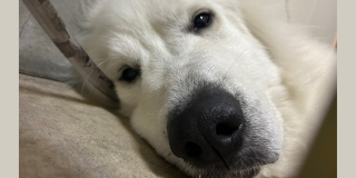おやすみ～zzz