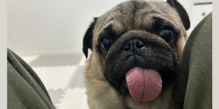 元気いっぱいです♪