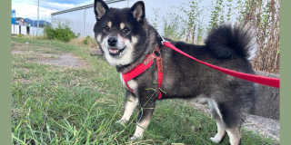 久しぶりに会えたね