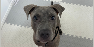 ご新規様です😊