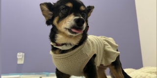 4泊5日のご宿泊♪