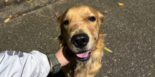 暗くても平気だよ