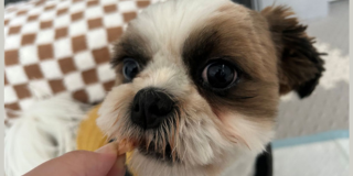 それぞれ🐾