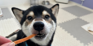 緊張が解けたよ