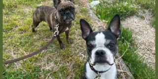 ふたりの時間🐕