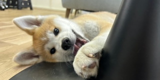 遊ぼうよ～！！
