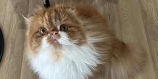 今日のお仕事