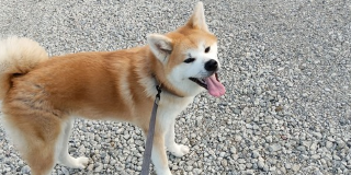大きくなったね🌱🐾